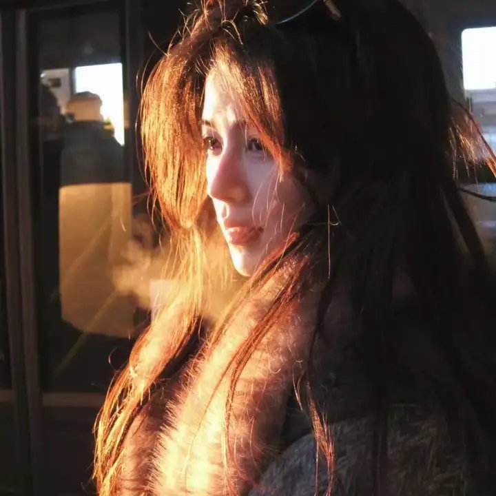 精武风云·陈真